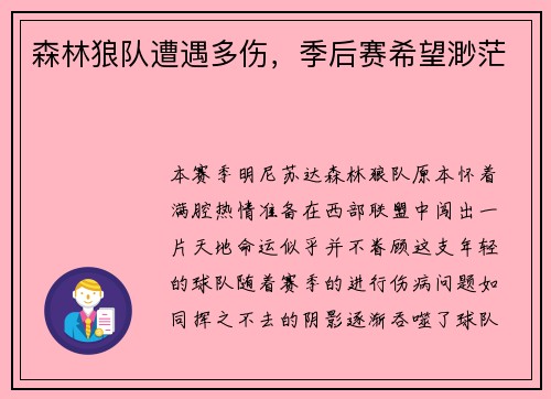 森林狼队遭遇多伤，季后赛希望渺茫