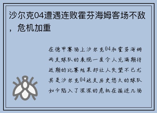 沙尔克04遭遇连败霍芬海姆客场不敌，危机加重