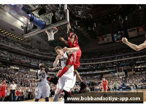 NBA狂人：深度剖析球场外的真实人生