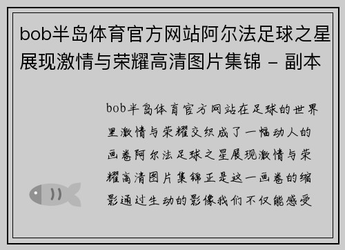 bob半岛体育官方网站阿尔法足球之星展现激情与荣耀高清图片集锦 - 副本