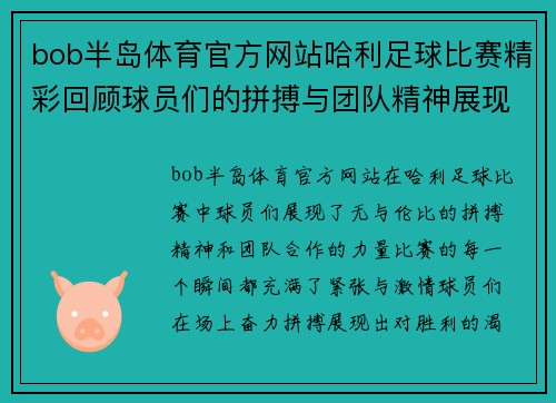 bob半岛体育官方网站哈利足球比赛精彩回顾球员们的拼搏与团队精神展现无遗