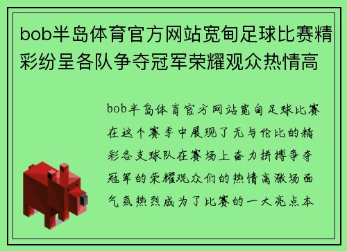 bob半岛体育官方网站宽甸足球比赛精彩纷呈各队争夺冠军荣耀观众热情高涨